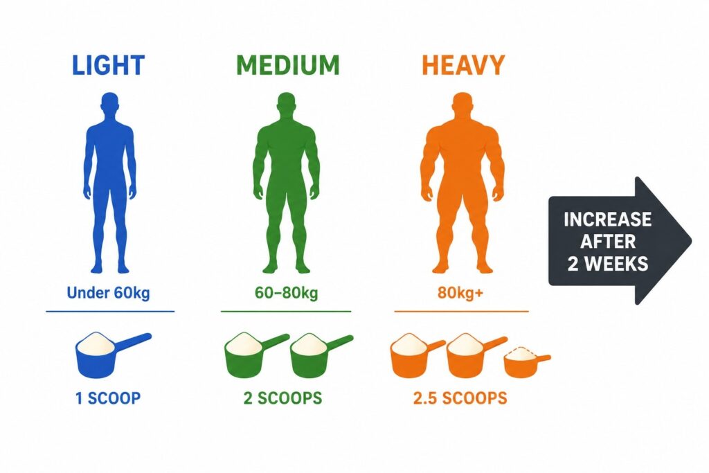Mass gainer dosage guide by body weight — showing recommended serving sizes for slim, medium, and heavy body types.