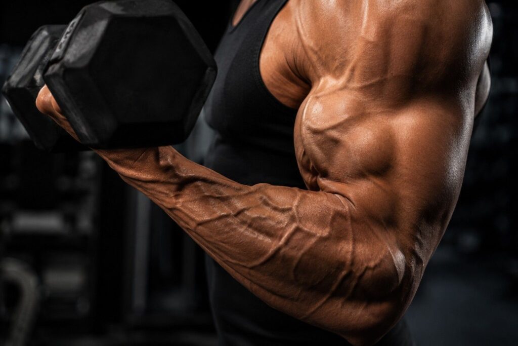 Muscular arm with visible veins during dumbbell curl showing increased blood flow from pre workout supplement.
