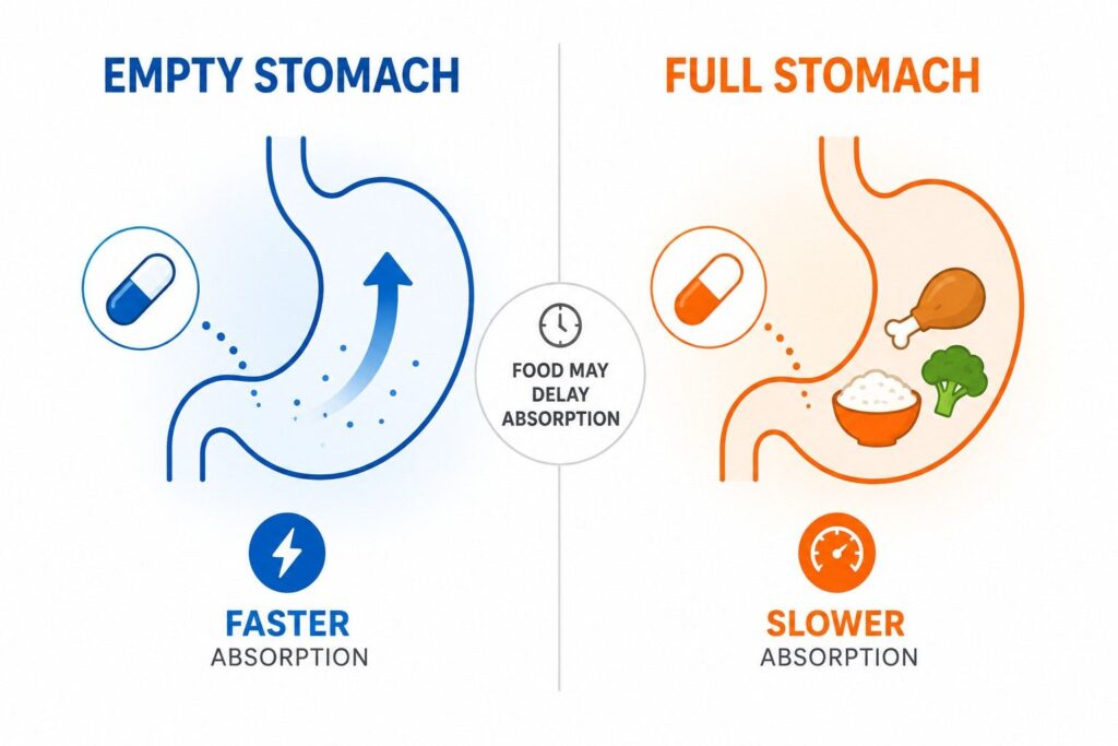 infographic showing pre-workout absorption speed on empty stomach vs with food.